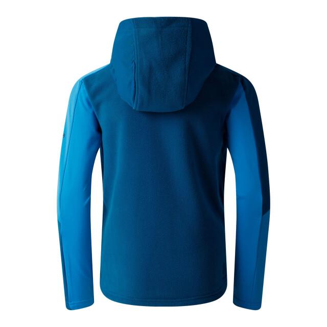 Dare2b Kinder/kids thriving iv fleecejack UTRG12040_bluesapphirespringbreak large