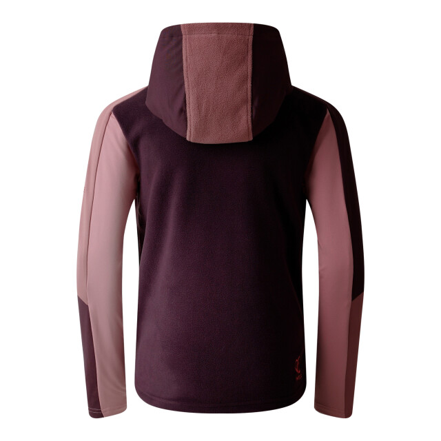 Dare2b Kinder/kids thriving iv fleecejack UTRG12040_deepplumlilas large