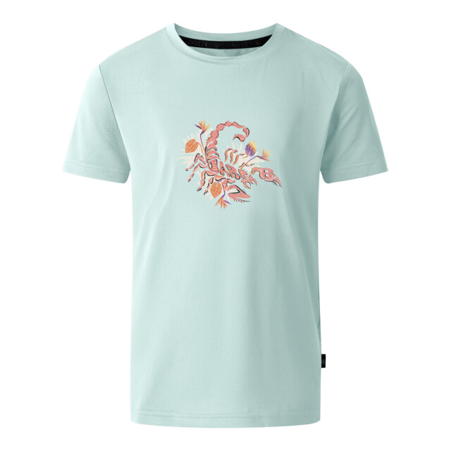 Dare2b Kinderen/kinderen amuse ii dinosaurus skelet t-shirt UTRG12024_icymorn large