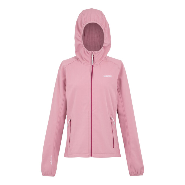 Regatta Dames soft shell-jas UTRG6432_lilas large