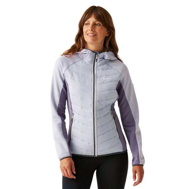 Regatta Dames andreson viii hybride jas UTRG9336_lilacthistlepurplesage large