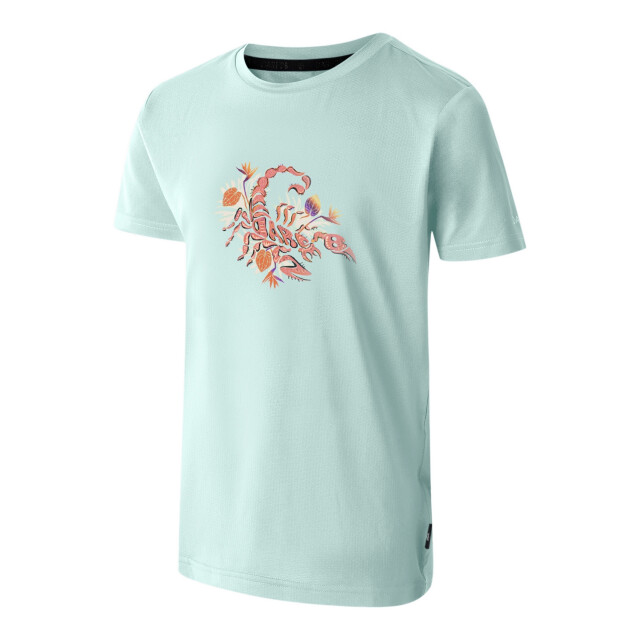 Dare2b Kinderen/kinderen amuse ii dinosaurus skelet t-shirt UTRG12024_icymorn large