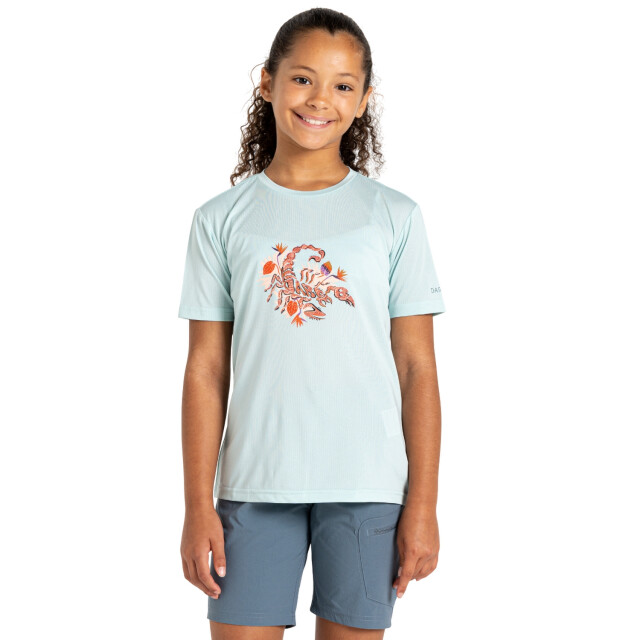 Dare2b Kinderen/kinderen amuse ii dinosaurus skelet t-shirt UTRG12024_icymorn large