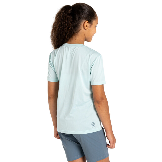 Dare2b Kinderen/kinderen amuse ii dinosaurus skelet t-shirt UTRG12024_icymorn large