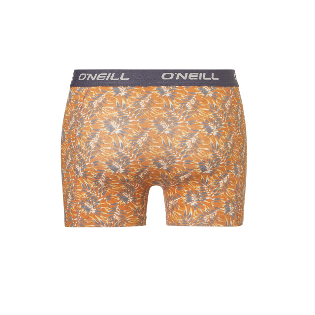 O'Neill Heren boxershorts trunks dipped leaf 3-pack 203021024-700 large