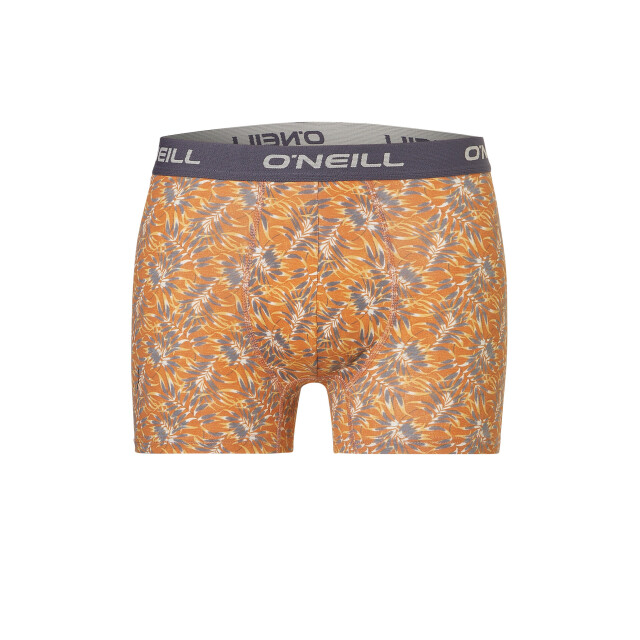 O'Neill Heren boxershorts trunks dipped leaf 3-pack 203021024-700 large