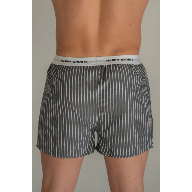 Happy Shorts 3-pack wijde boxershorts heren blauw gestreept meeuwen print HS-339 large