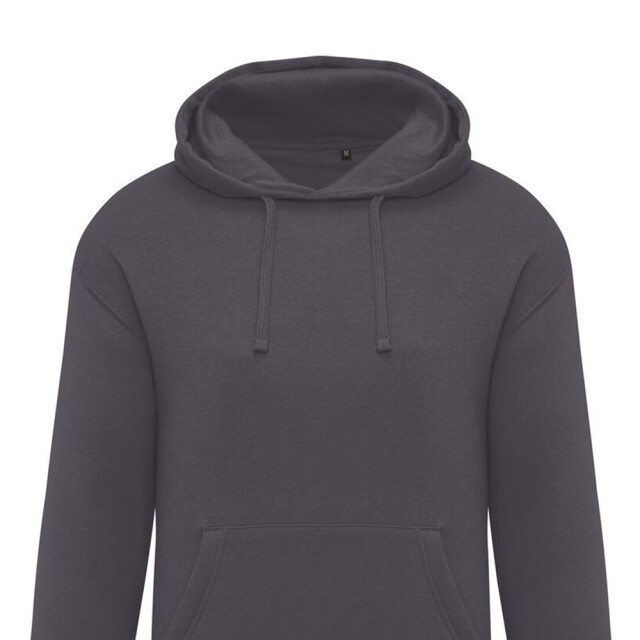 SG Effen heren hoodie UTFK3335_grey large