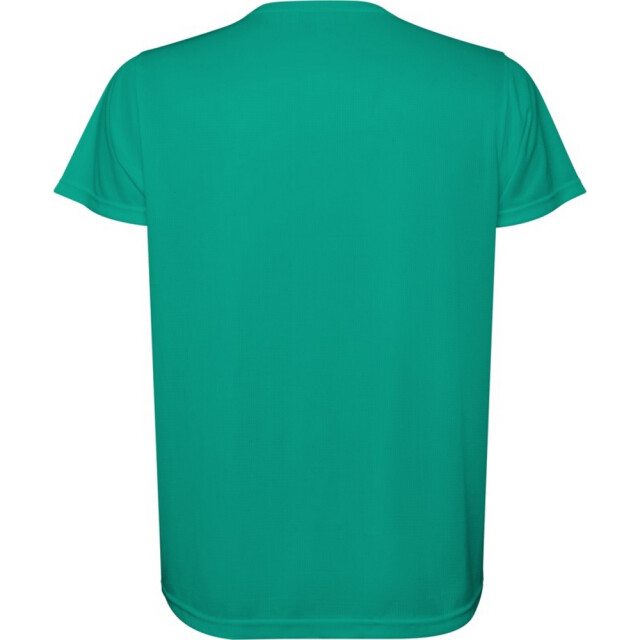 Roly Heren estoril t-shirt met korte mouwen UTPF4743_jadegreen large