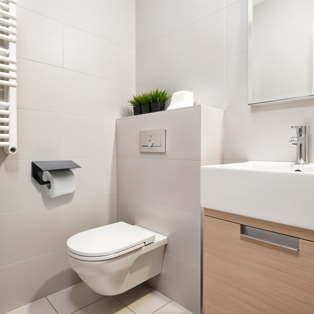 Xivada Wc rolhouder zeus met plankje inclusief schroefset - 3193591 large