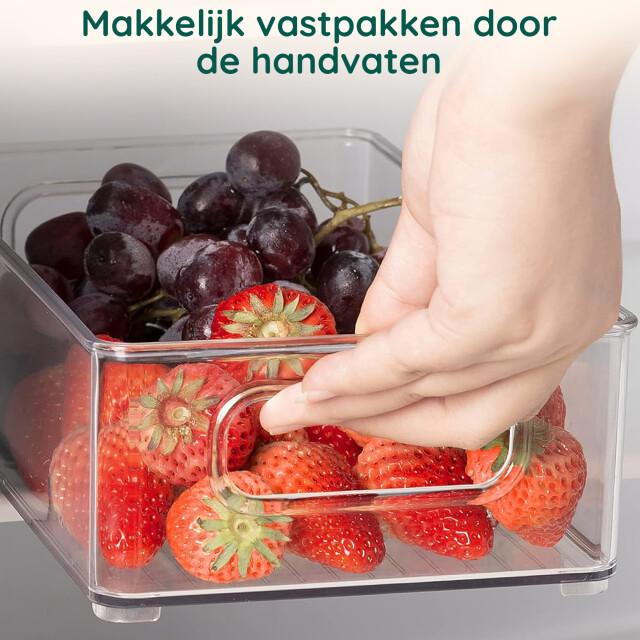 Xivada Koelkast organizer tava - pet set van 4 3195461 large