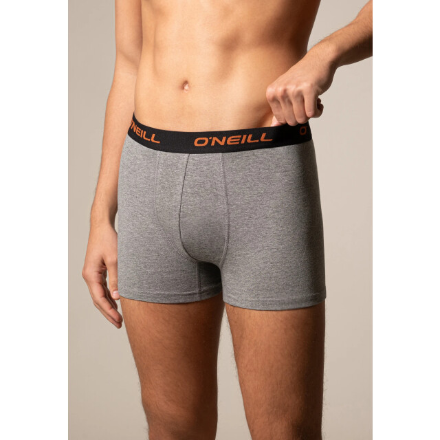 O'Neill Heren boxershorts trunks dipped leaf 3-pack 203021024-700 large