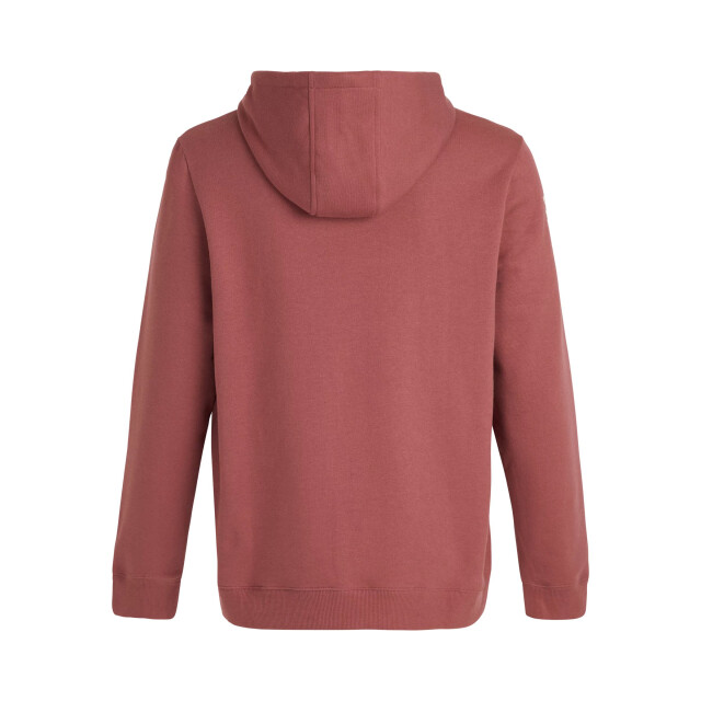 Protest classic logo hoody men hoodie heren - 071338_600-L large