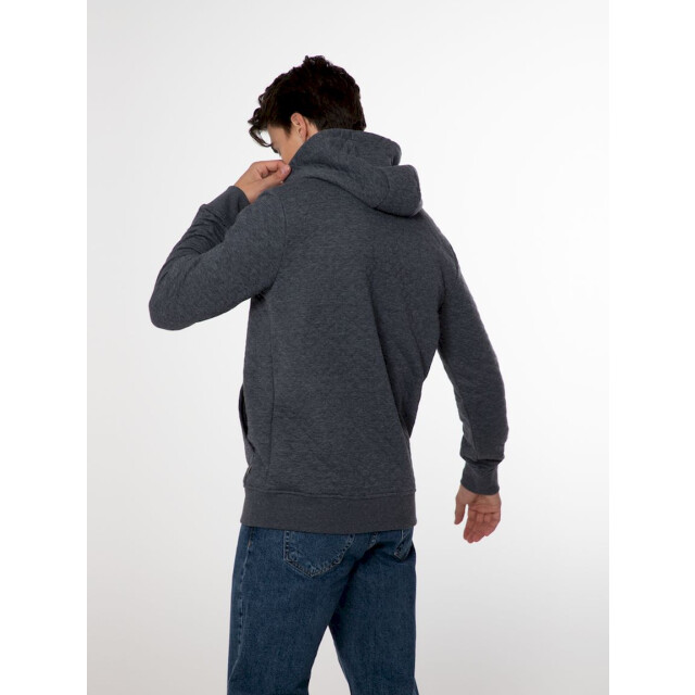 Protest oxfordy full zip hoody hoodie heren - 071357_270-L large