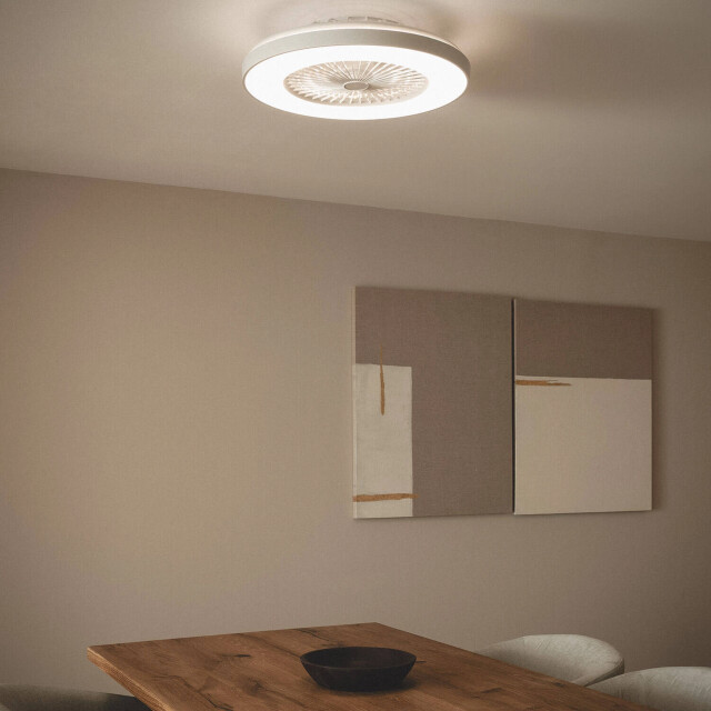 Cool Breeze Plafondventilator nora met verlichting Ø58cm 6 snelheden afstandsbediening - 2906981 large