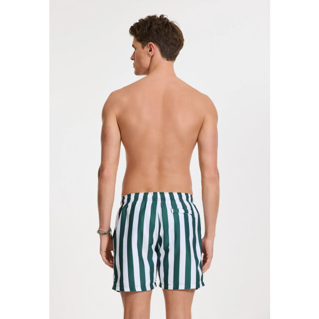 Shiwi Heren zwemshort broad stripe donkergroen/wit 1441100200-7835 large