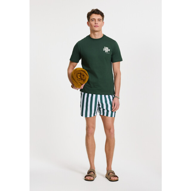 Shiwi Heren zwemshort broad stripe donkergroen/wit 1441100200-7835 large