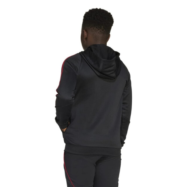 Adidas Ajax tr hody jp1766 ADIDAS ajax tr hody jp1766 large