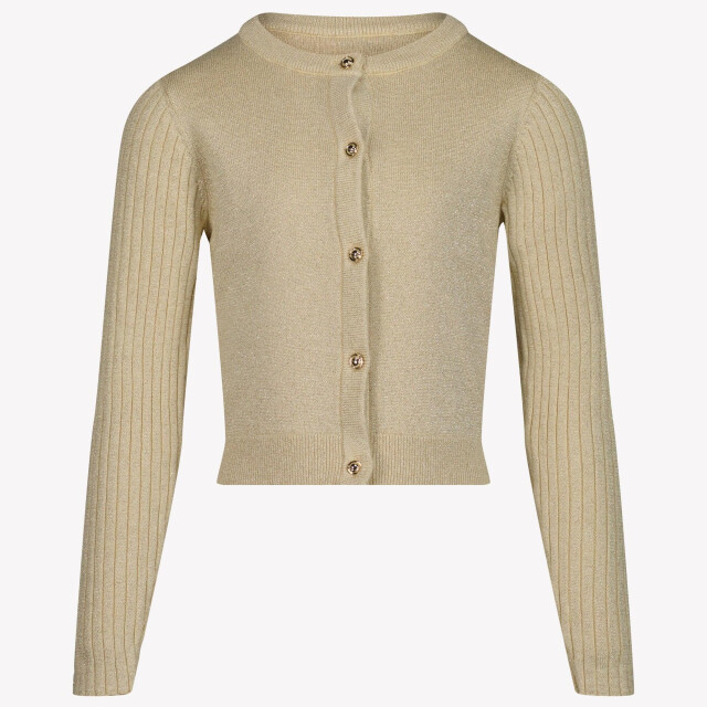 Michael Kors Kinder meisjes vest in R30281Z99LIGHT large