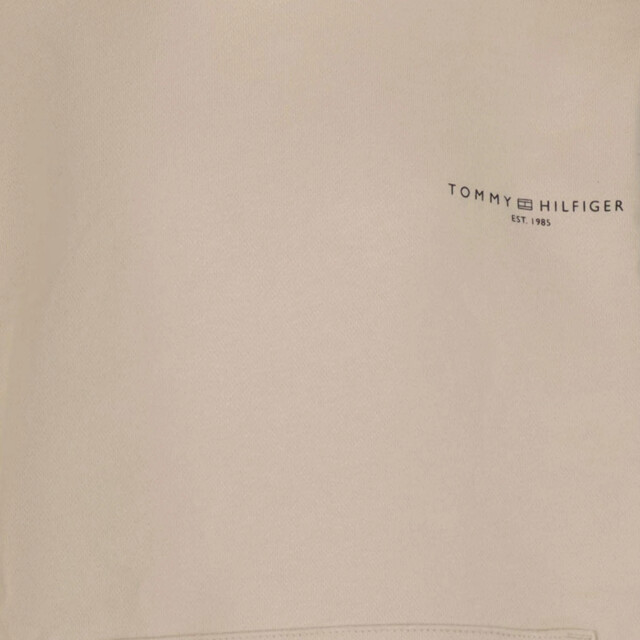 Tommy Hilfiger Kinder unisex trui TommyHilfigerKS0KS00595 large