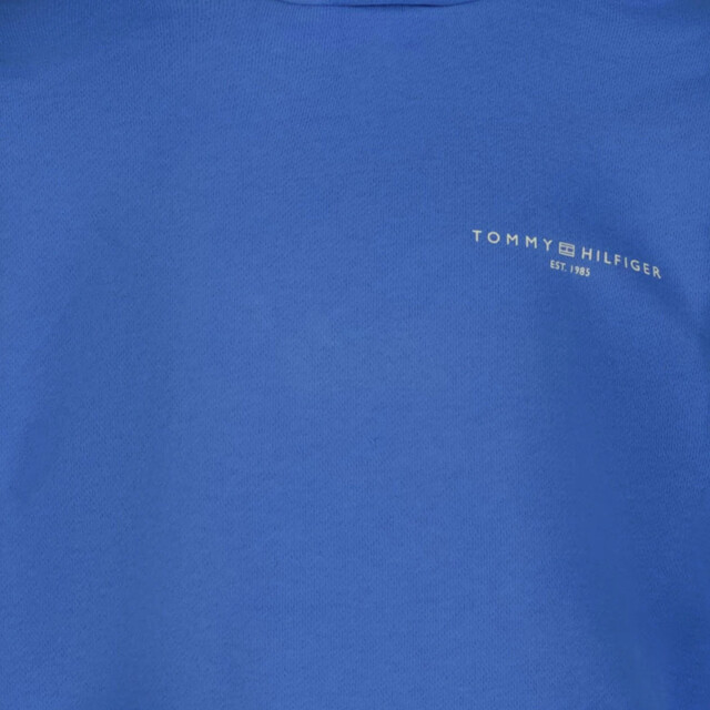 Tommy Hilfiger Kinder unisex trui TommyHilfigerKS0KS00595 large