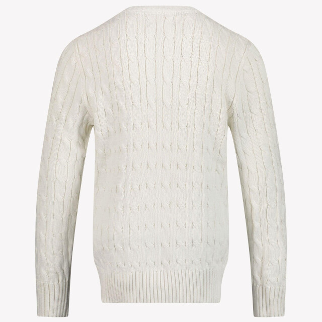 Ralph Lauren Kinder jongens trui in 2016603917889 large