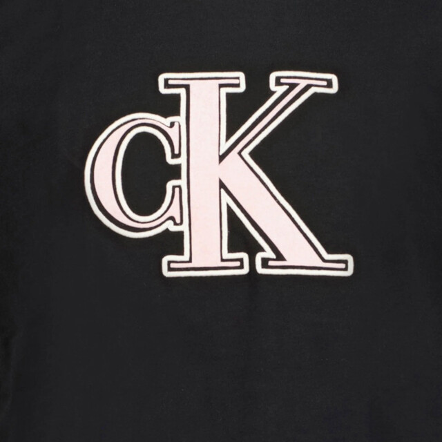 Calvin Klein Meisjes t-shirt in <p>CalvinKleinIG0IG02806 large