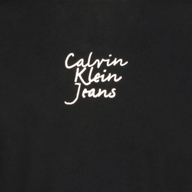 Calvin Klein Kinder meisjes t-shirt in <p>Ervaardeverfijning large