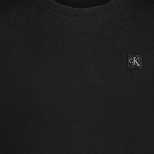 Calvin Klein Kinder unisex t-shirt in CalvinKleinIU0IU00543 large