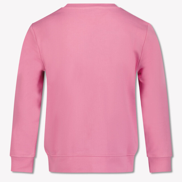 Stella McCartney Kinder meisjes trui in TW4A90Z0499552ROSASS25<br>Sweatshirt large