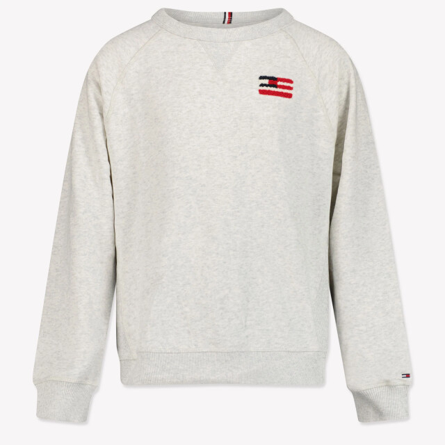 Tommy Hilfiger Kinder jongens trui in grijs 2016604011319 large