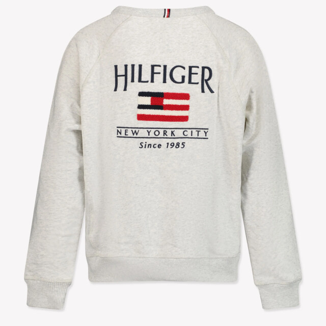 Tommy Hilfiger Kinder jongens trui in grijs 2016604011319 large