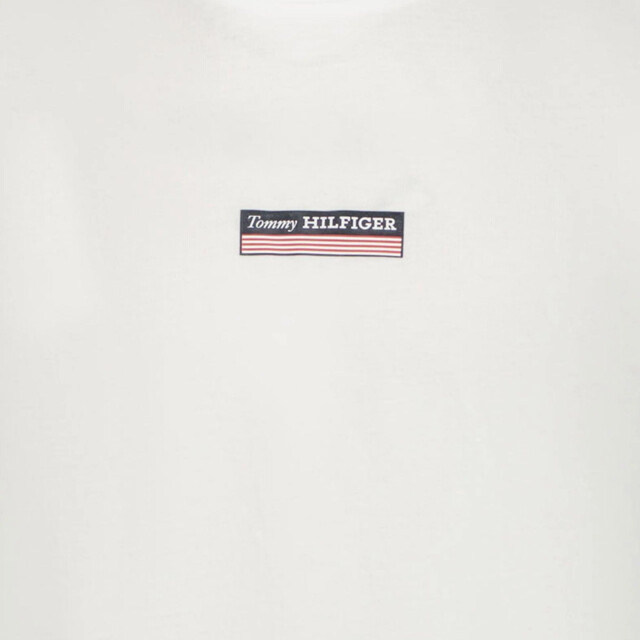 Tommy Hilfiger Kinder jongens t-shirt 2016603821001 large