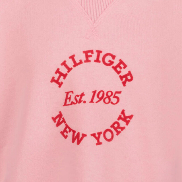 Tommy Hilfiger Kinder meisjes trui  large