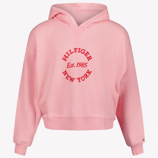 Tommy Hilfiger Kinder meisjes trui  large