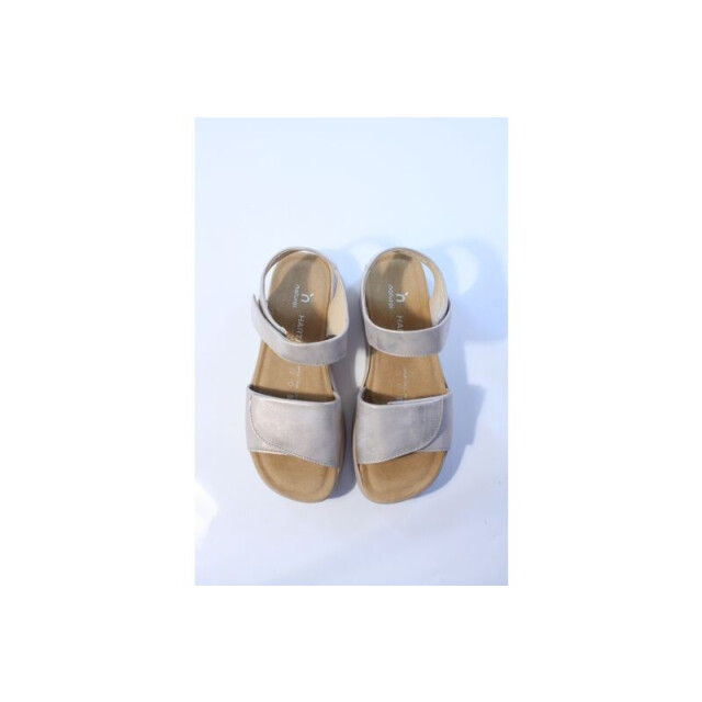 Hartjes Woogie 132.2002 sandalen 1322002 large
