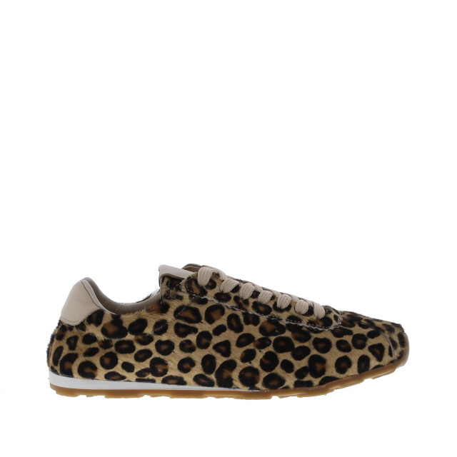 Miss Behave Dames veterschoen | dames | maat: | pony 110305 large