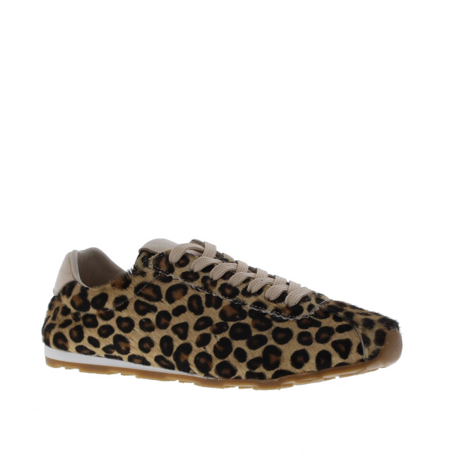 Miss Behave Dames veterschoen | dames | maat: | pony 110305 large