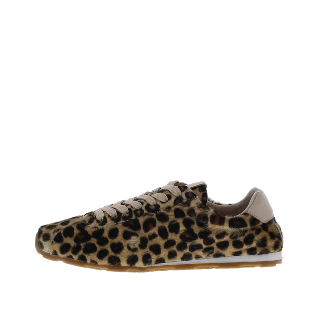 Miss Behave Dames veterschoen | dames | maat: | pony 110305 large