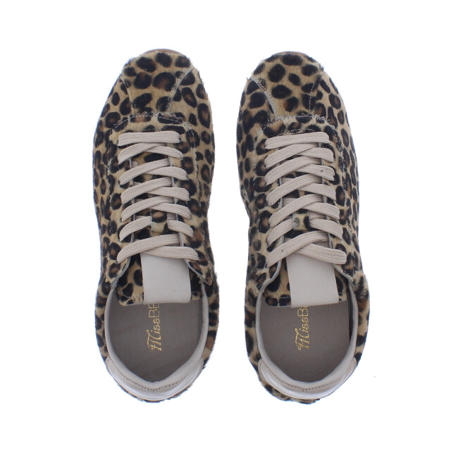 Miss Behave Dames veterschoen | dames | maat: | pony 110305 large