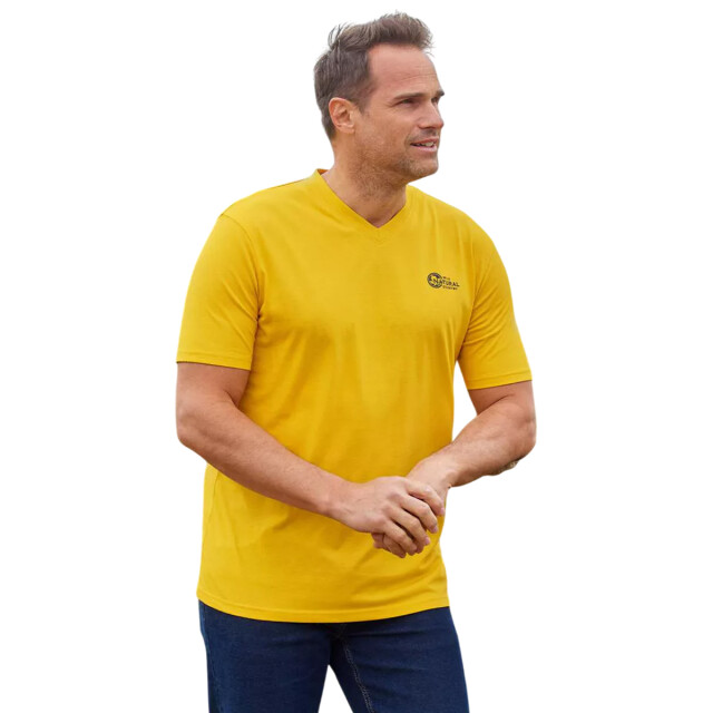 Atlas For Men Heren v hals t-shirt (pak van 3) UTAF2061_yellowaquagreennavy large