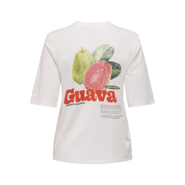 Only Onlphoebe s/s fresh top box jrs 15351369 large