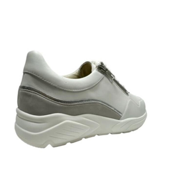 Solidus 66007 66007 Kea large