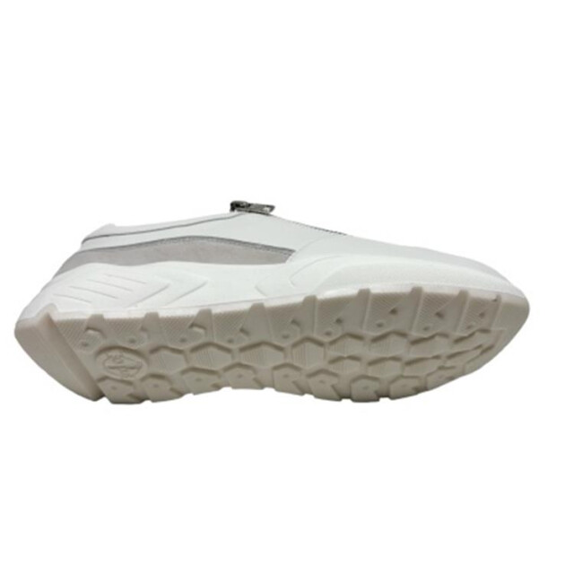 Solidus 66007 66007 Kea large