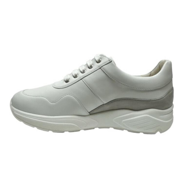 Solidus 66007 66007 Kea large