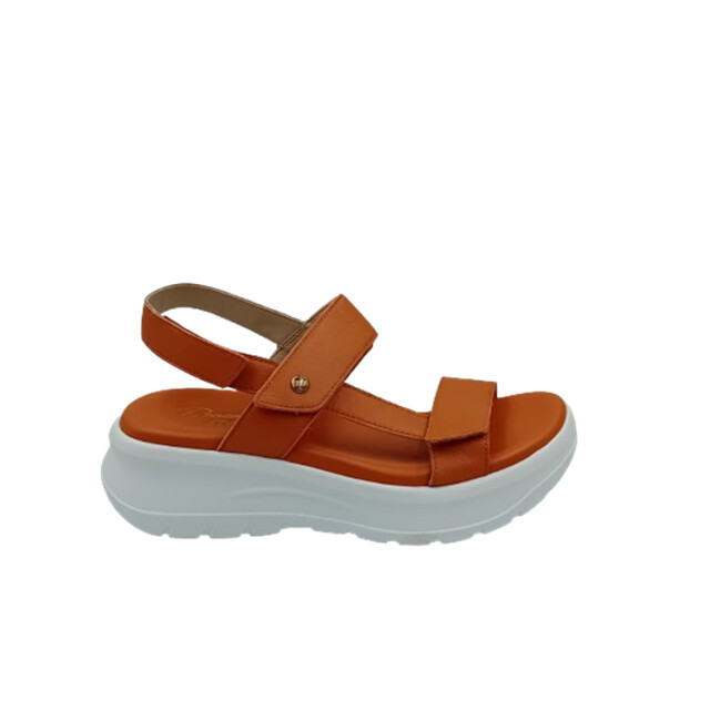 Panama Jack Noor Sandalen Bruin Noor large