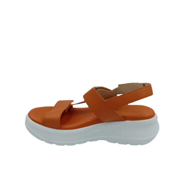 Panama Jack Noor Sandalen Bruin Noor large
