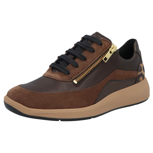 Solidus Halea 56287-30721 large