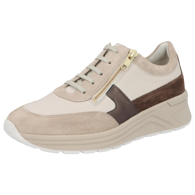 Solidus Holly 46022-30678 large