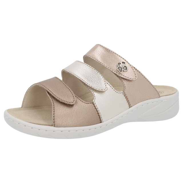 Solidus Wellness spezial 20141-40557 large